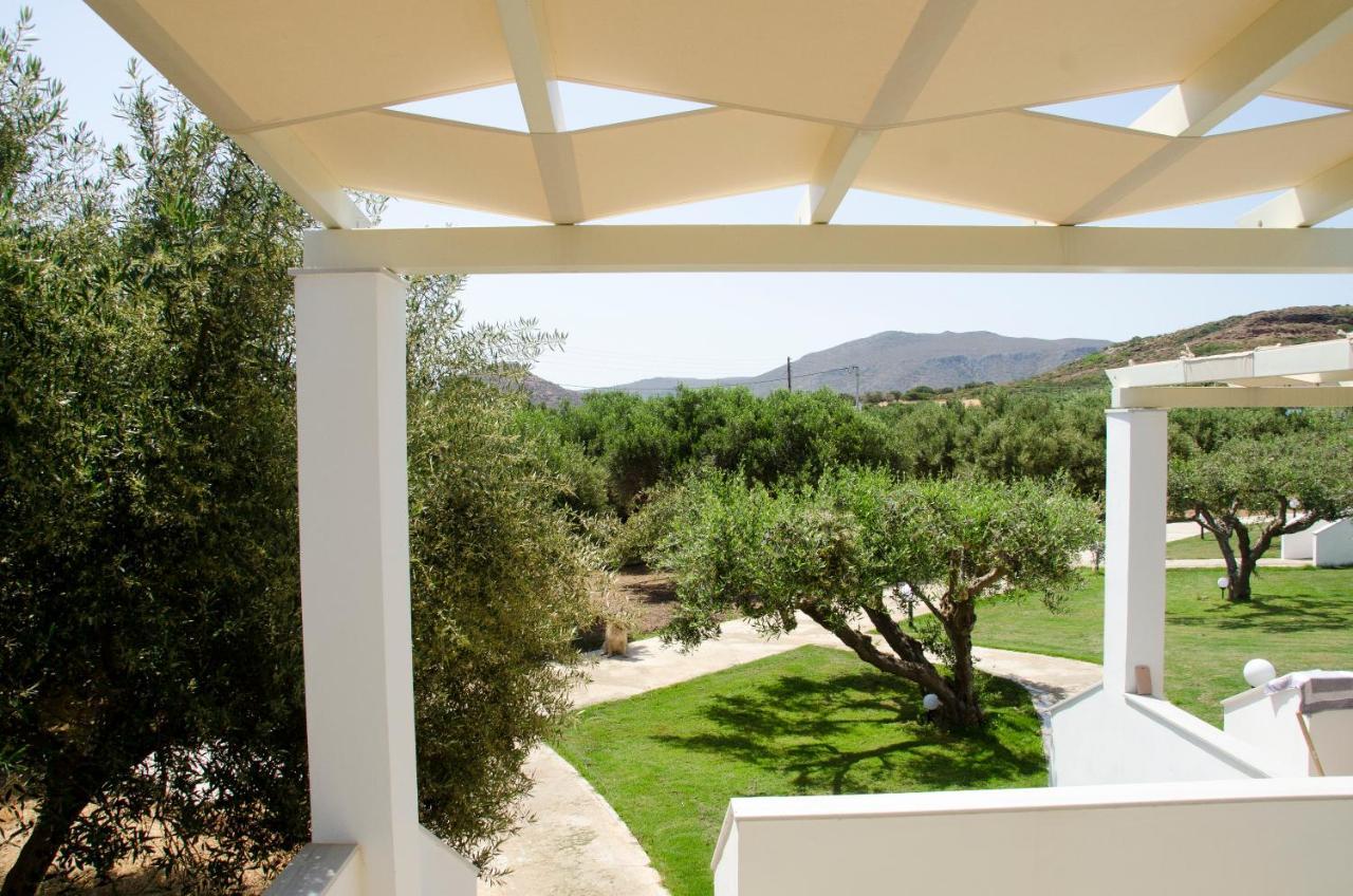 Villa Dimitris Palaikastro Exterior foto